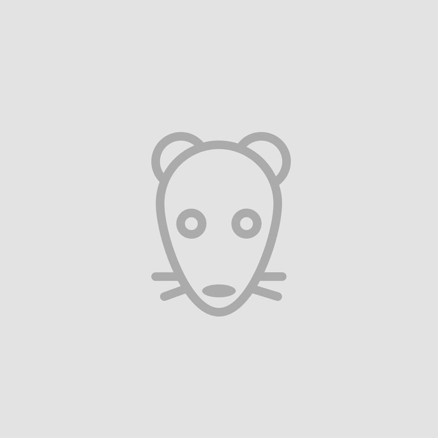 Moheris ir merino – minkšti, lengvai pūkuoti siūlai (100 g) Moheris ir merino – minkšti, lengvai pūkuoti siūlai (100 g)